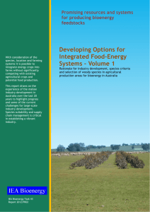 Developing Options for Integrated Food