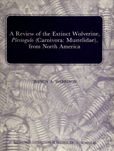 A Review of the Extinct Wolverine, Plesiogulo (Carnivora