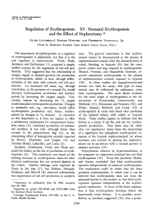 Regulation of Erythropoiesis. XV. Neonatal Erythropoiesis and the