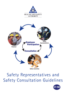 Safety Rep Guidelines - Health and Safety Authority