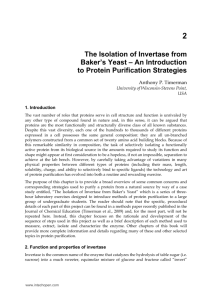 The Isolation of Invertase from Baker's Yeast – An