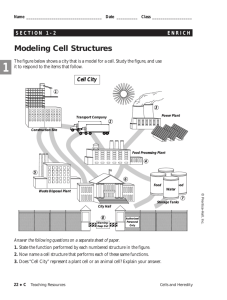 Modeling Cell Structure
