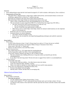 Chapter 11 The Origins of the Genus Homo Overview • Some