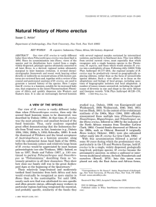 Natural history of Homo erectus