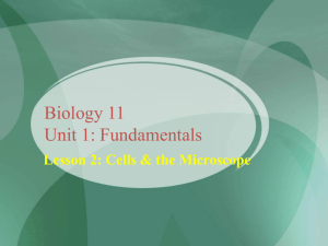 Biology 11 Unit 1: Fundamentals