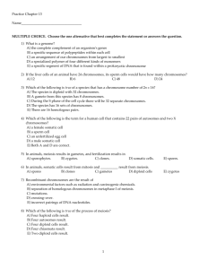 Practice Chapter 13