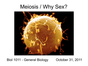 Meiosis / Why Sex?