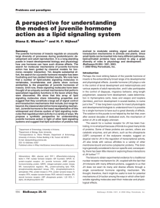 A perspective for understanding the modes of juvenile hormone