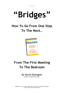 Bridges - David De Angelo