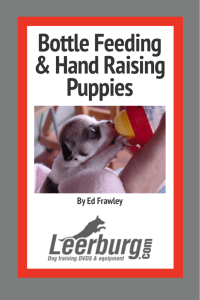 Bottle Feeding & Hand Raising Puppies