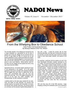 November / December - National Association of Dog Obedience