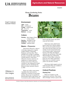 Beans (Home Gardening Series) - FSA6003