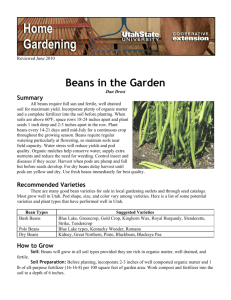 Beans in the Garden - Utah State University Extension