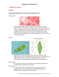 General Biology II Lab Practical 1 Student Study Guide