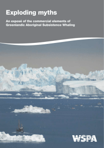 Exploding Myths – Greenland whaling investigation