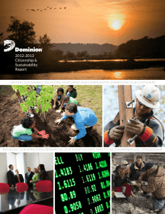 2012-2013 Citizenship & Sustainability Report