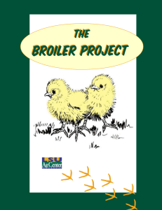 The Broiler Project - University of Nevada Cooperative Extension