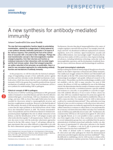 A new synthesis for antibody-mediated immunity