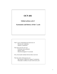 The Global Carbon cycle