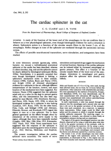 The cardiac sphincter in the cat