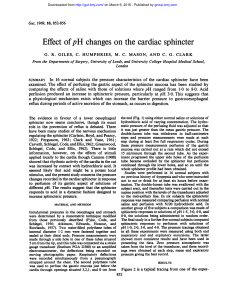 Effect ofpH changes on the cardiac sphincter