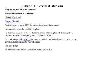 Chapter 10 – Patterns of Inheritance