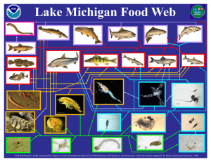 Lake Michigan Food Web