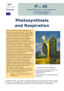 Photosynthesis and Respiration