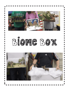 Biome Box Assignment & Rubric