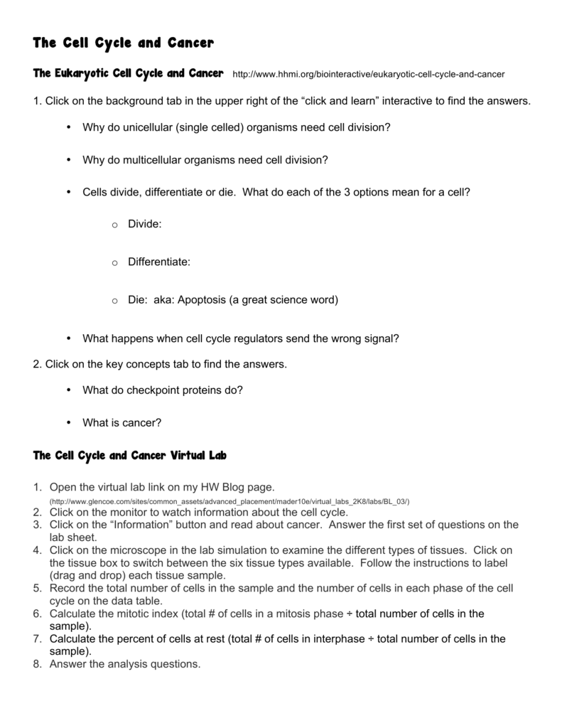 Virtual Lab The Cell Cycle And Cancer Worksheet Answers Promotiontablecovers