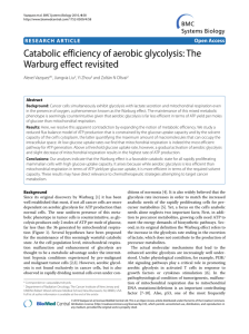 Catabolic efficiency of aerobic glycolysis