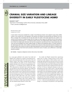 cranial size variation and lineage diversity in early pleistocene homo