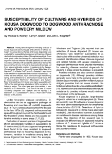 susceptibility of cultivars and hybrids of kousa dogwood to dogwood