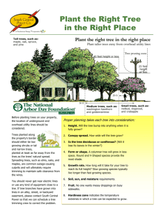 Plant the Right Tree in the Right Place