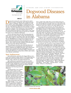 Dogwood Diseases in Alabama - Alabama Cooperative Extension