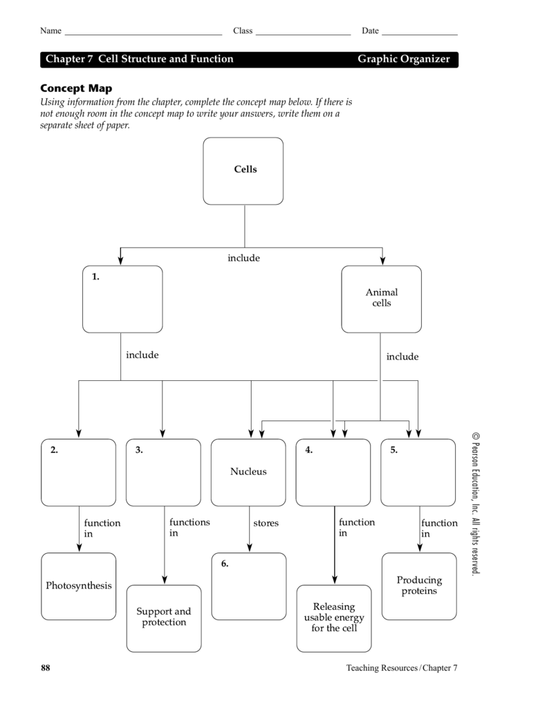 Chapter 7 Cell Structure And Function Concept Map Answers Zip Code Map