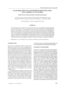 standardization of gymnosperm karyotypes using picea omorika as