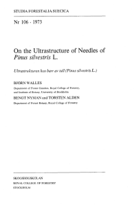 On the Ultrastructure of Needles of Pinus silvestris L.
