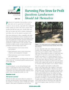 Harvesting Pine Straw for Profit - Alabama Cooperative Extension