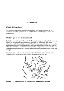 XYY syndrome What is XYY syndrome?