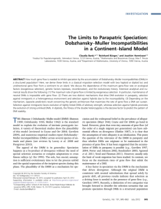 The Limits to Parapatric Speciation: Dobzhansky–Muller