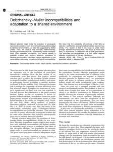 Dobzhansky–Muller incompatibilities and adaptation to a shared
