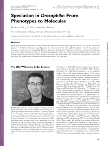 Speciation in Drosophila: From Phenotypes to