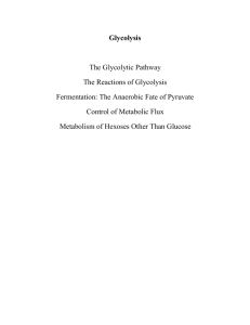 Glycolysis The Glycolytic Pathway The Reactions of Glycolysis