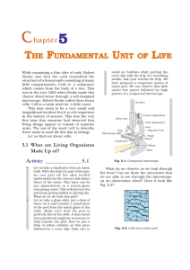 CHAP 5 - NCERT BOOKS and CBSE BOOKS