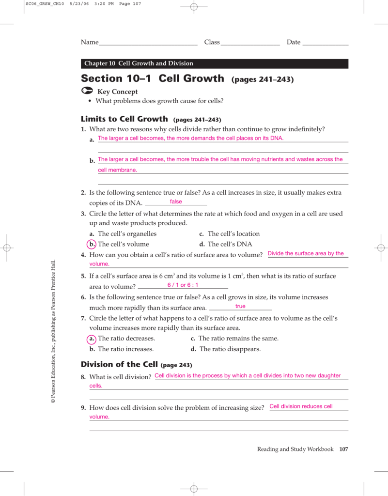 chapter 10 cell growth and division concept map Section 10 1 Cell Growth Pages 241 243 chapter 10 cell growth and division concept map