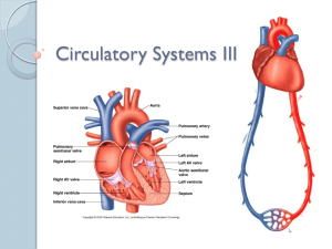Circulatory Systems III PPT