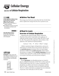 Reading Essentials Cellular Respiration