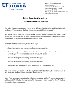 Tree ID Activity - Baker County Extension Office