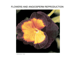 FLOWERS AND ANGIOSPERM REPRODUCTION